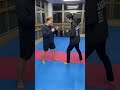 【閲覧注意】ヤンキー撃退できる蹴り