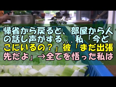 【スカッと】帰省から戻ると、部屋から人の話し声がする   私「今どこにいるの？」彼「まだ出張先だよ」→全てを悟った私は…【痛快・スカッとジャパン!】