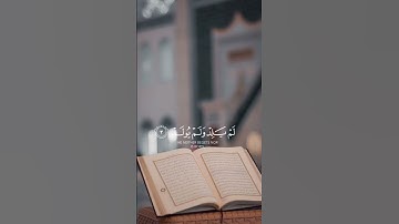 سورة الإخلاص - ماهر المعيقلي❤️ #تعلم #السعودية #قرآن