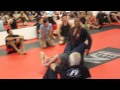 Renato Laranja and Bas Rutten Seminar Technique 2