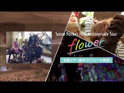 10周年記念！全国ツアー】ソナーポケット「Sonar Pocket 10th