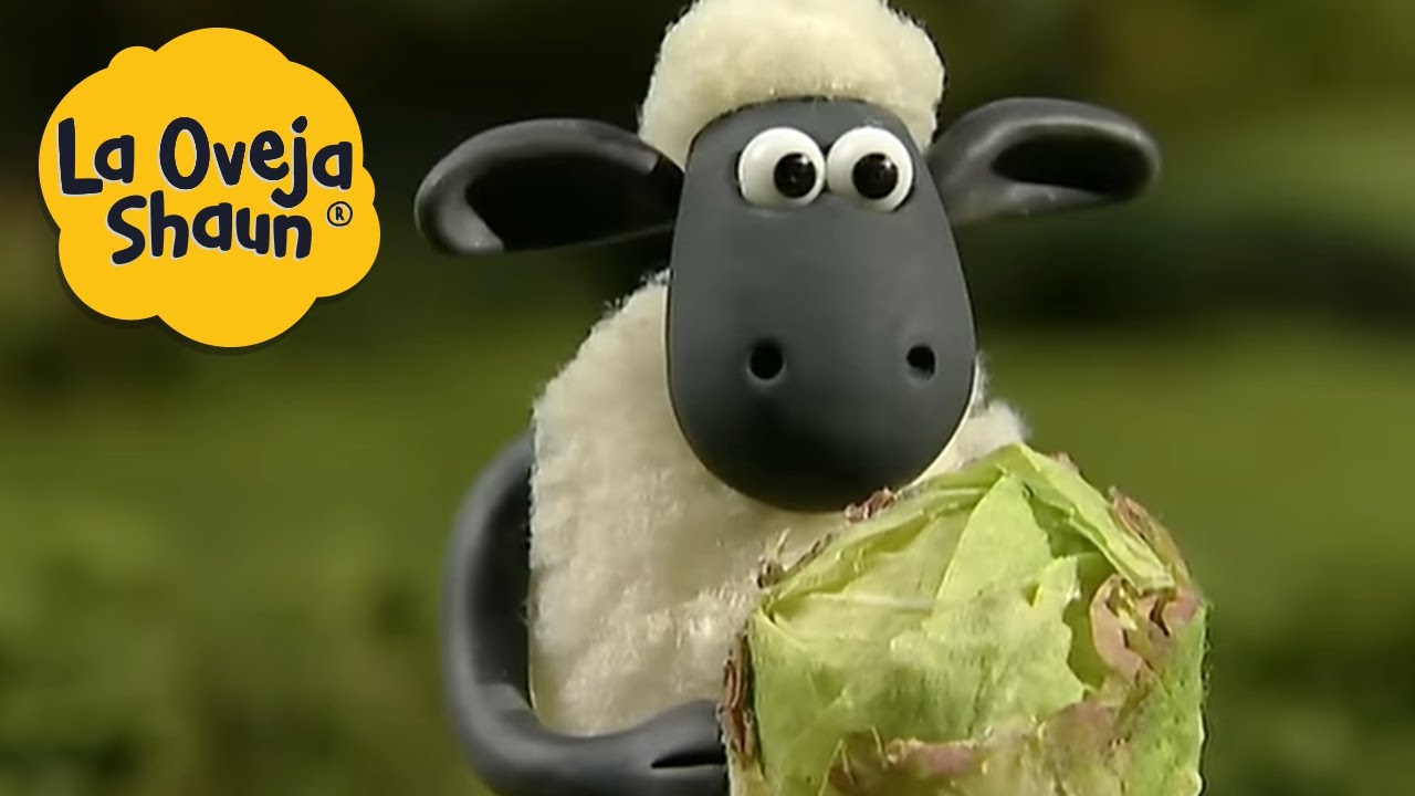 La Oveja Shaun 🐑 Fútbol col  🐑 Dibujos animados para niños