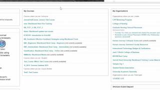 Navigating Blackboard