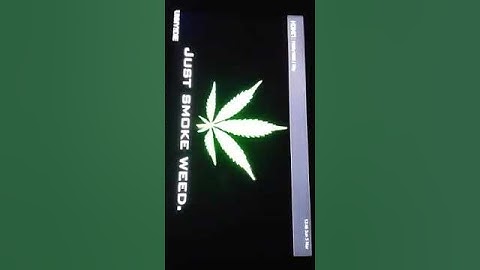 Smoke weed everyday custom cold boot up  cfw