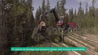 Better forestry with project PRECISION