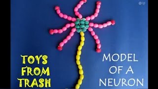 Model Of A Neuron - Hindi - 9Mb.avi