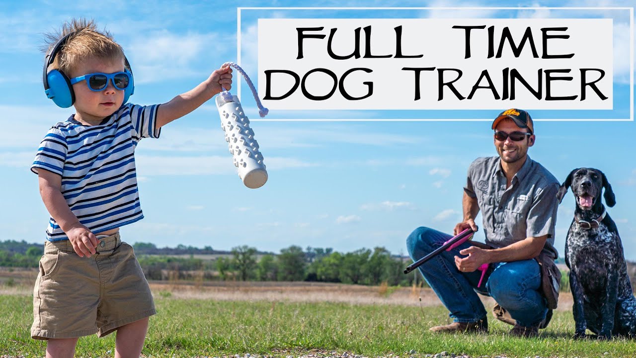 You Ask We Answer Being Full Time Dog Trainers Episode 32 Part 1