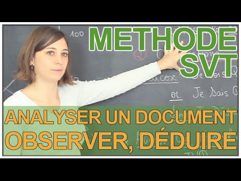 Vidéo: Comment Apprendre à Faire Des Observations Subtiles