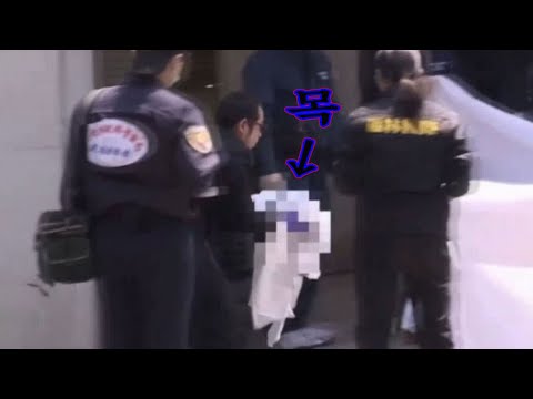 [몰아보기] 불면증에 도움이 되실지 모르겠지만 대만에서 일어난 일 보시면서 안녕히  주무세요