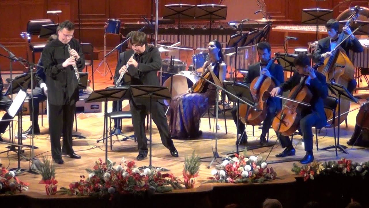 Antonio Vivaldi Double Concerto in D Minor for 2 Oboes .RV 535 YouTube