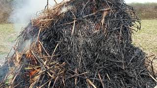 ludes terbakar sarok jarami...