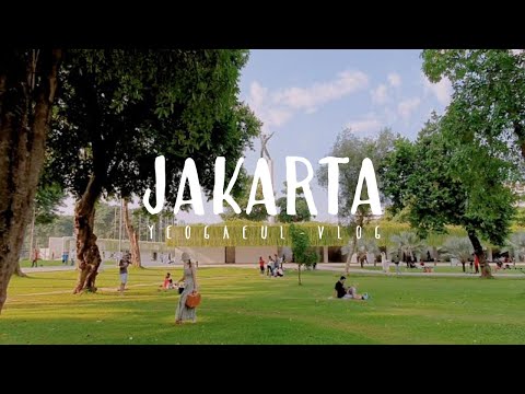 Video: Op Zoek Naar Springvissen In Indonesië