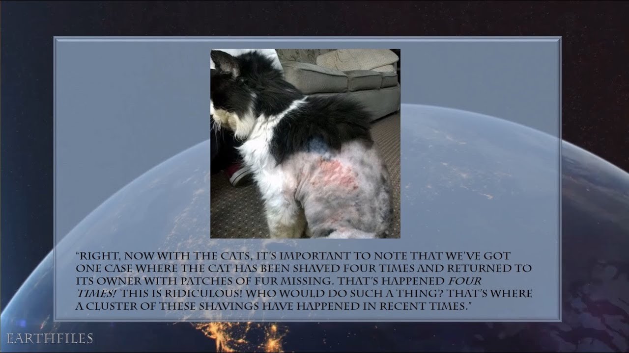 linda moulton howe husband Linda Moulton Howe: Persistent Bloodless Mutilations from London to Scotland