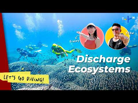 Diving at Decommissioned