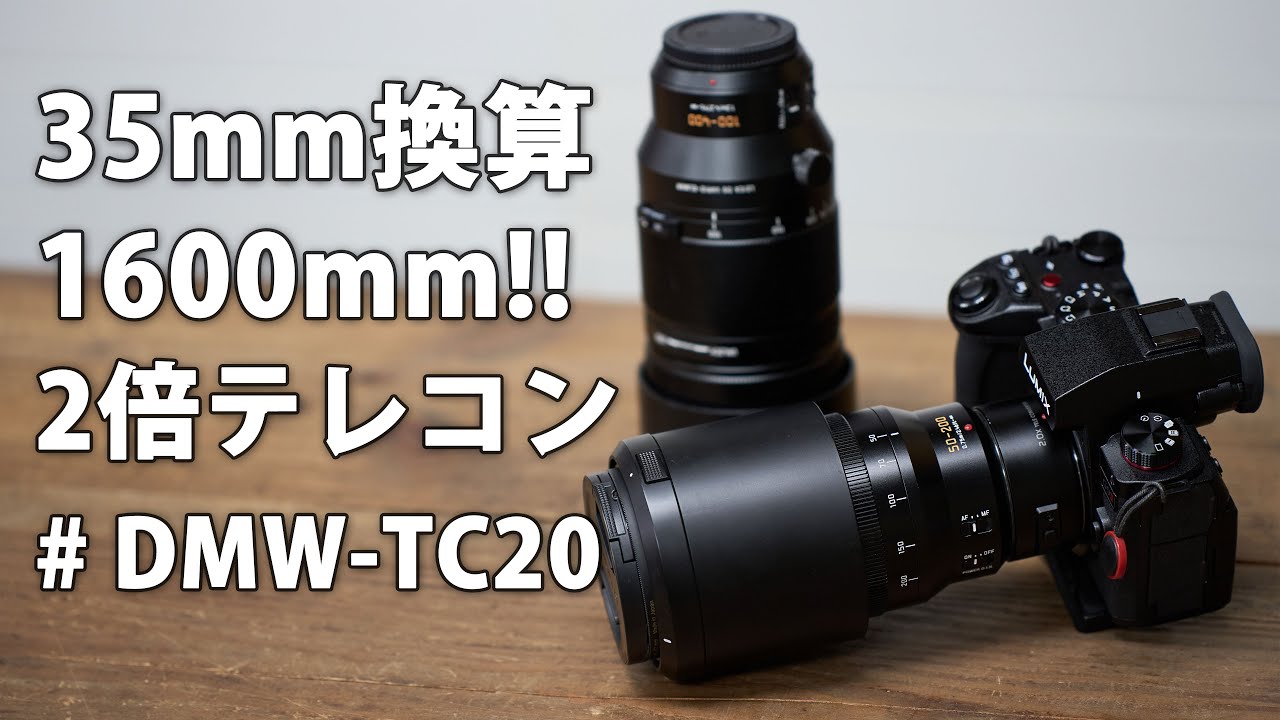 I bought the DMW-TC20, a 2x teleconverter with a 35mm equivalent