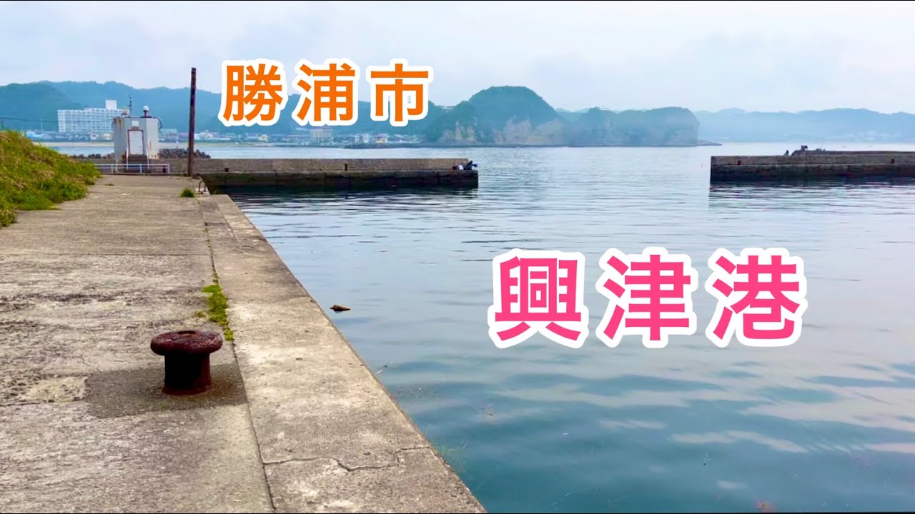 【興津港】千葉県勝浦市の港で色んな魚が釣れました！色々やって魚が釣れた時はとても嬉しいです