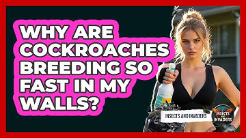Why Are Cockroaches Breeding So Fast In My Walls? - Insects and Invaders