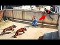 Good Samaritans Saving Lives | Real Heroes Caught on Camera