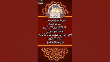 سورة التين مكتوبة كاملة بالتشكيل | كتابة وقراءة.