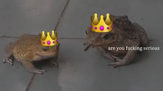 Frog Commentary 2 (Reupload) (Uncensored Version)