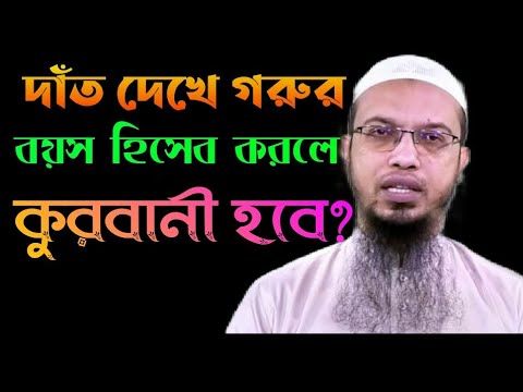 ভিডিও: কোন বয়সে গরুর থলি হয়?