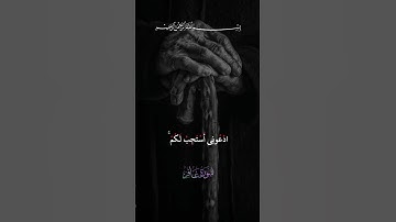 سورة غافر ❤️❤️ #quran #المصحف #القزابري #الرحمن #reels #لايك #اكسبلور #trending