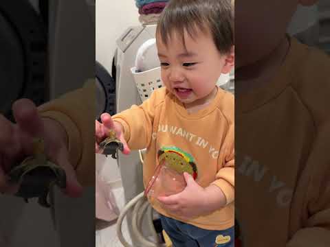 【1歳5ヶ月】毎日語彙が増える。本日習得したのは…