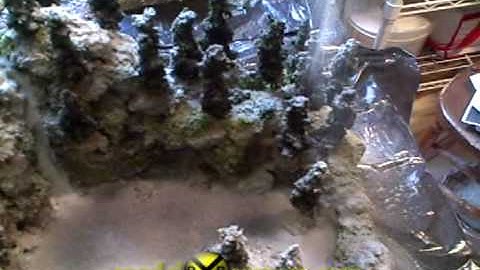 modelRRscenery.com - Snowfall.avi