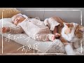 【癒やし】赤ちゃんと子猫のお昼寝をただ眺める動画