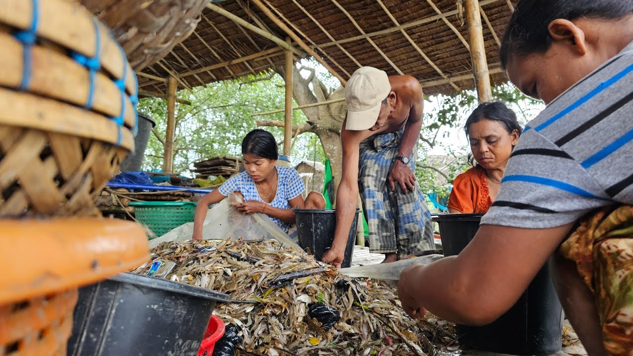 ဘိုကလေးနယ်က ရေလုပ်ငန်းသမားတွေ တဖြည်းဖြည်းကျပ်တည်းလာ