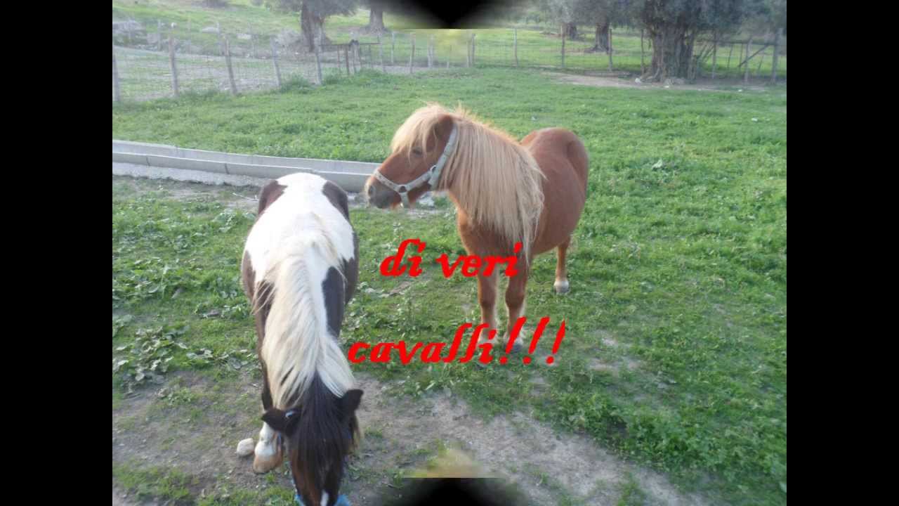 Azienda Agricola TRE A