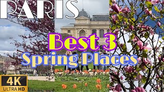 🇫🇷[PARIS 4K HDR] WALK IN PARISPARIS BEST 3 SPRING PLACES (4K60 FPS) 28/MARCH/2024