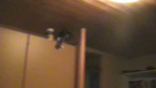 picopter by alex
