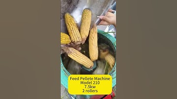 Model 300 Feed Pellet Machine for your poultry, animals, livestocks. leave a message if you like it.