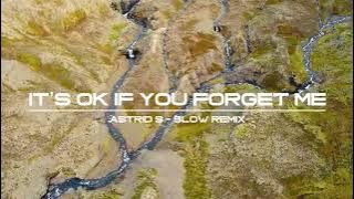 Astrid S - It’s OK If You Forget Me | #dj Slow Remix
