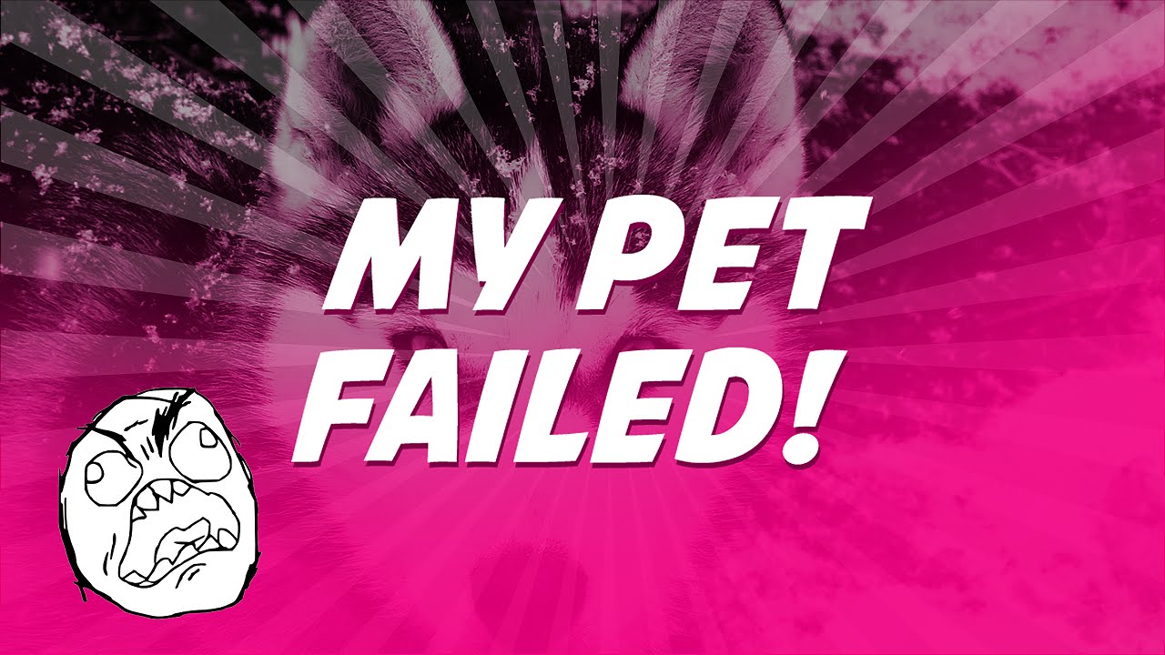 Wizard101: MEGA PET FAIL RAGE!!!