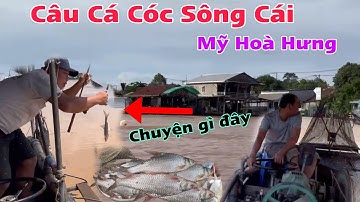 Câu Cá Cóc Sông Cái Mỹ Hoà Hưng Và Chuyện Gì Xảy Ra Đây / Đam Mê Câu Cá 67