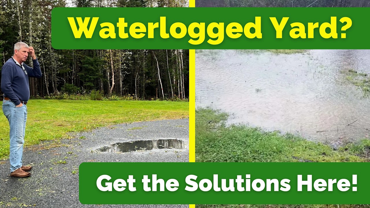 Flooded Landscapes | The Causes and Solutions