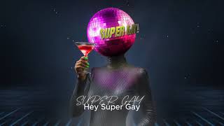Super Gay Flamboyant Funk Disco Comedy Song 1970S Style