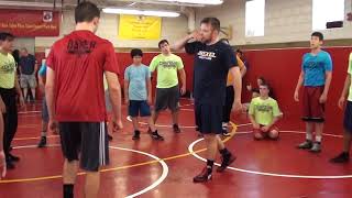 Sheaffer Underhook Ankle Pick