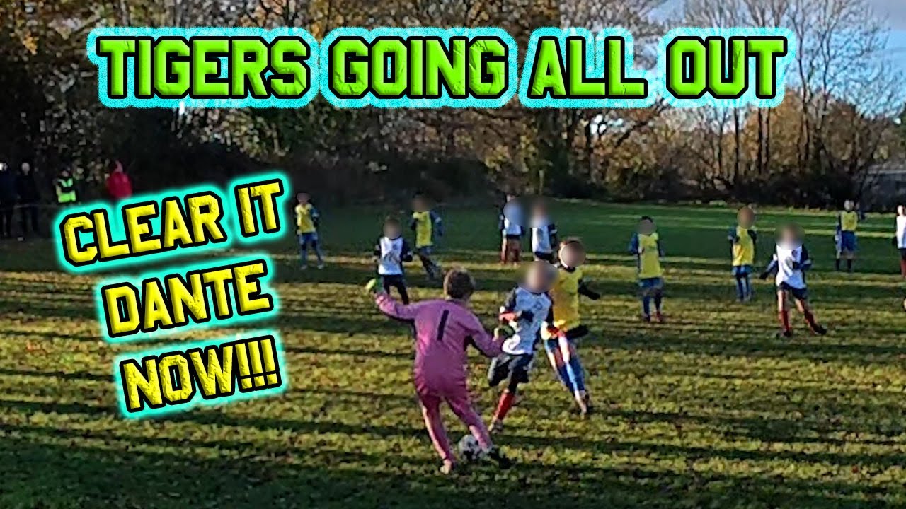 Goalkeeper Showcase: Trysull Tigers On A Roll 🧤⚽