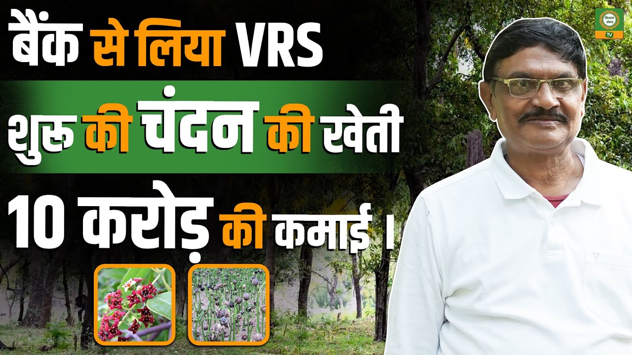 10 करोड़ की कमाई का राज़: #चंदन की खेती की पूरी जानकारी | Sandalwood Farming Guide