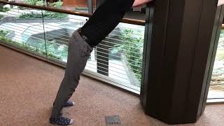 Spine Stabilization- Beginner Standing protocol