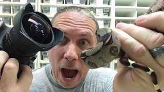 SNAKES AND CAMERAS LIVE!!! | BRIAN BARCZYK Profile