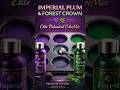 Imperial Plum &amp; Forest Crown | Elite Botanical ColorMix