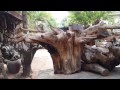 art root wood hammock swing amazing art root wood hammock swing amazing