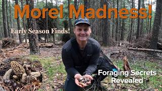 Early Season Morel Mushroom Hunting Tips