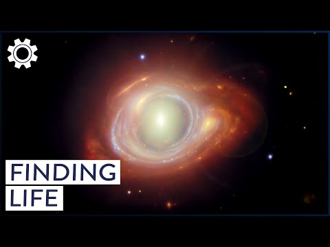 WAS LIFE INEVITABLE OR A COSMIC COINCIDENCE?