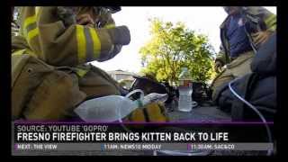 Maher's Moments:  Man vs. Black Rhino & Fresno firefighters save kitten from house fire