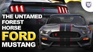 The American Untamed horse ford mustang | 2024 ford mustang GT | Dark horse by World Bourgeon 1,682 views 2 months ago 6 minutes, 45 seconds